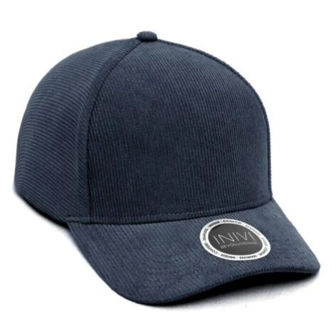 iv141_navy iv141_navy