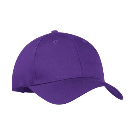 y130_purple y130_purple