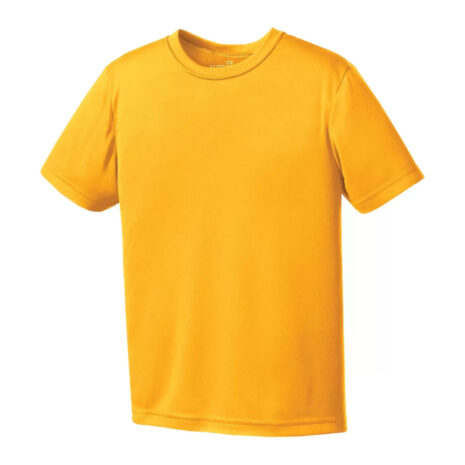 y350_gold #image_title